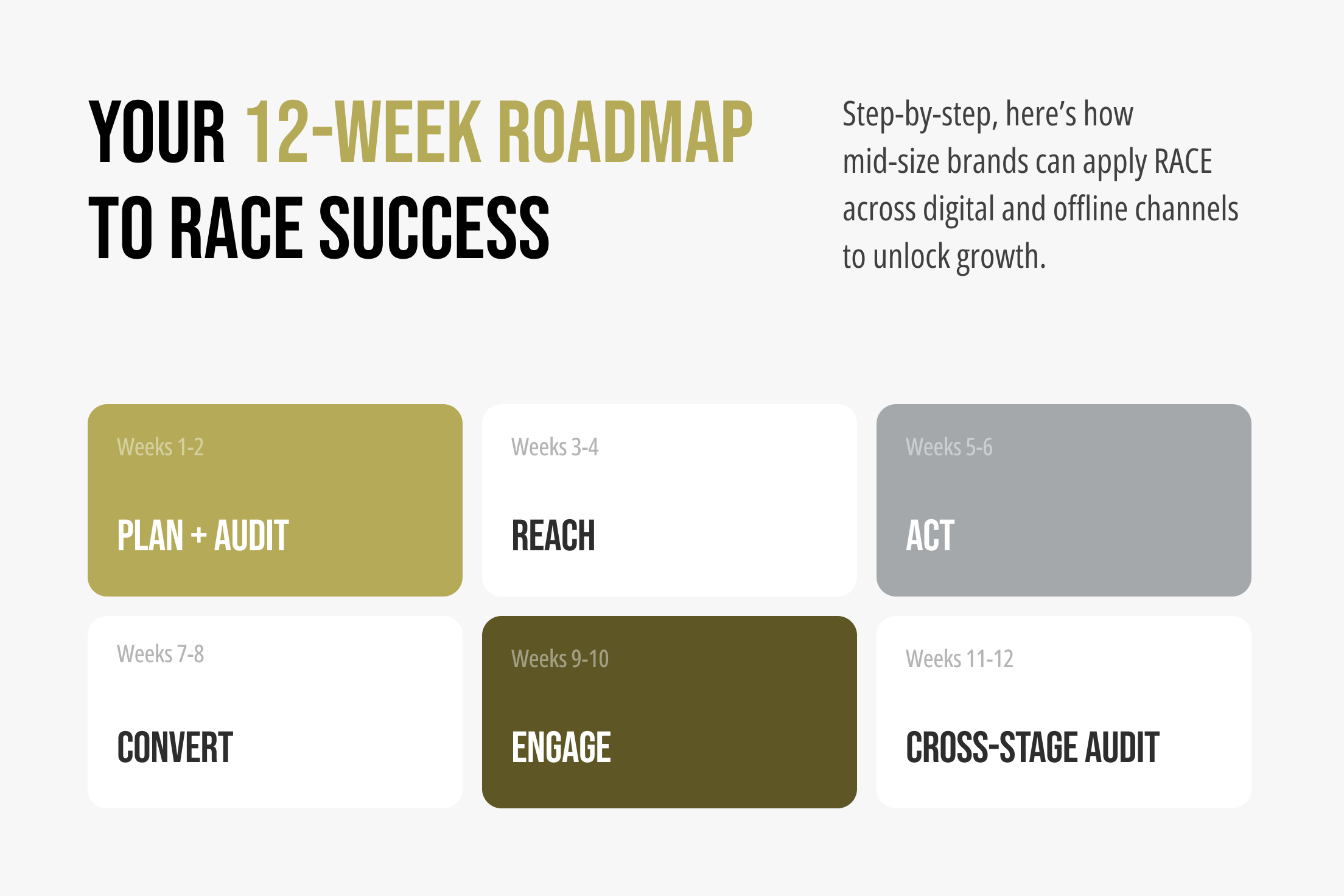 12-Week Timeline for Applying RACE in a Mid-Size Brand
