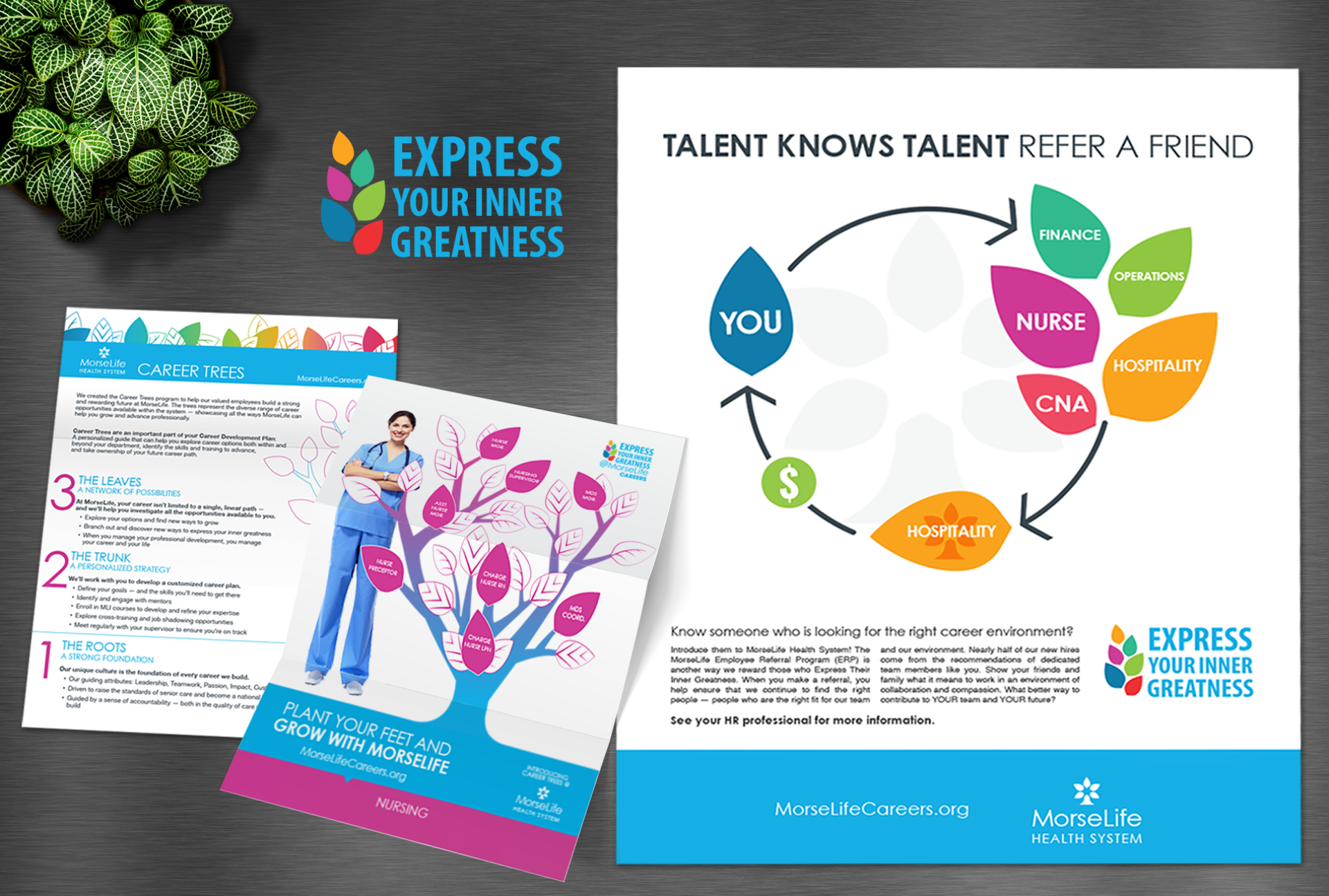 Case in point: MorseLife