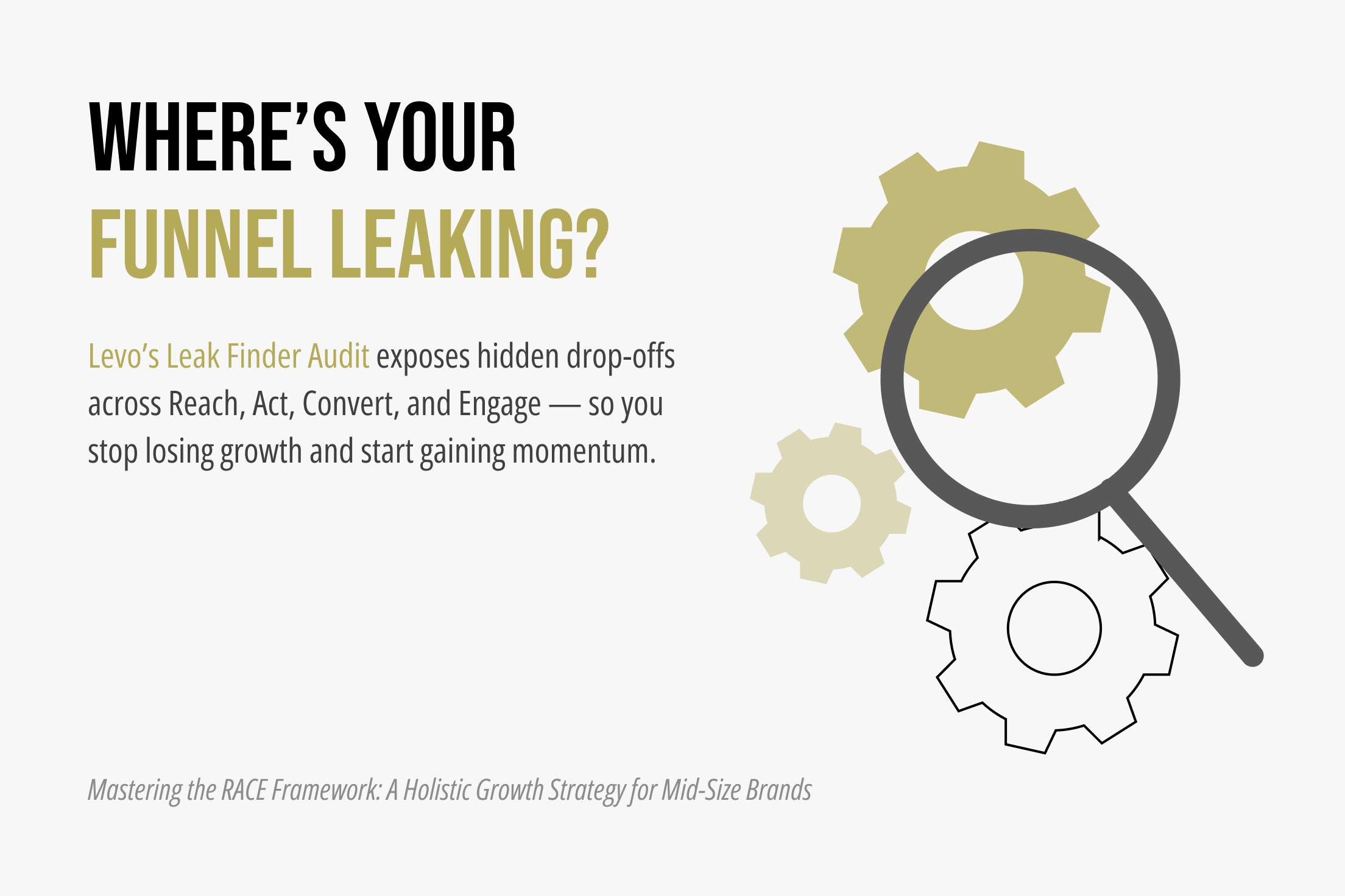 Leak Finder Audit: Levo’s Unique Approach