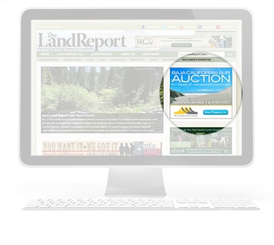 BAJA CALIFORNIA SUR AUCTION