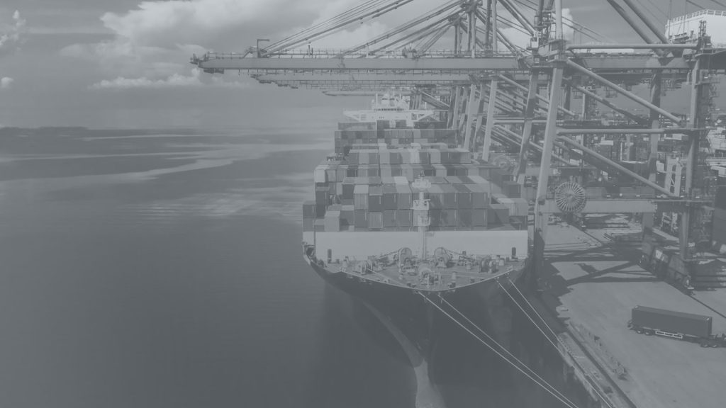 Black-and-white image of a cargo container ship docked at a port with cranes loading or unloading containers