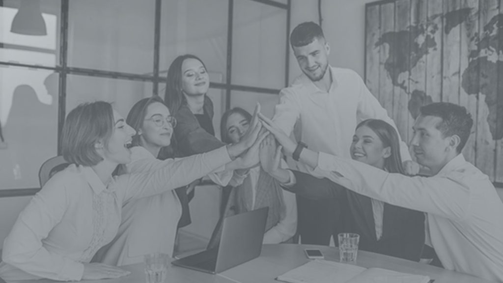 Proko - B2B Software Company